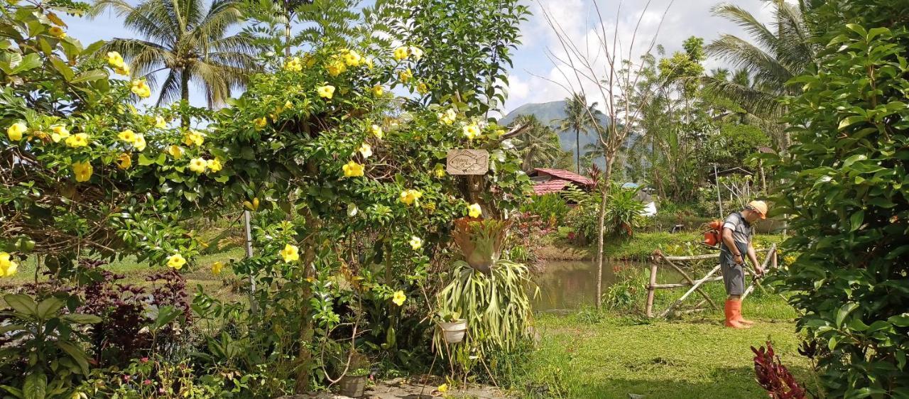 Talaga Tomohon Home Stay And Fishing Pond Esterno foto