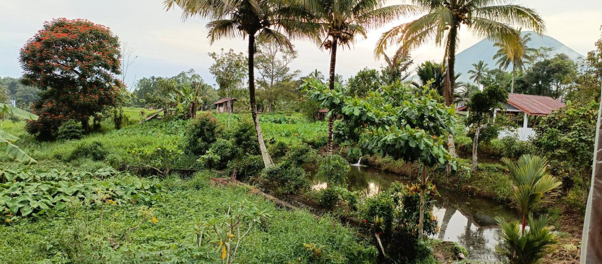 Talaga Tomohon Home Stay And Fishing Pond Esterno foto
