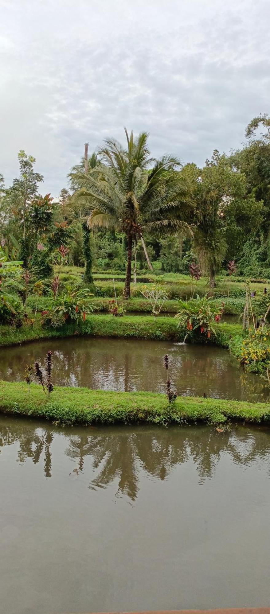 Talaga Tomohon Home Stay And Fishing Pond Esterno foto