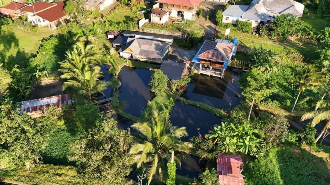 Talaga Tomohon Home Stay And Fishing Pond Esterno foto